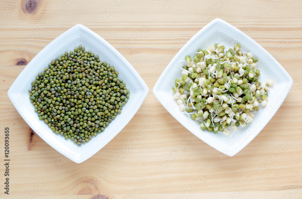 Green mungobeans and bean sprouts. Green mungobeans and bean sprouts.