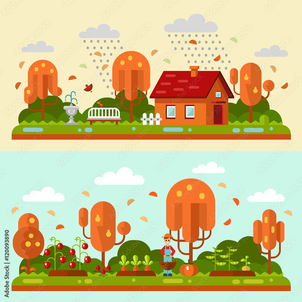 Flat design vector autumn landscape illustrations with house, bench, rain, puddles, leaf fall. Garden with beds of carrots, tomatoes, gardener. Farming, agricultural, organic products concept.