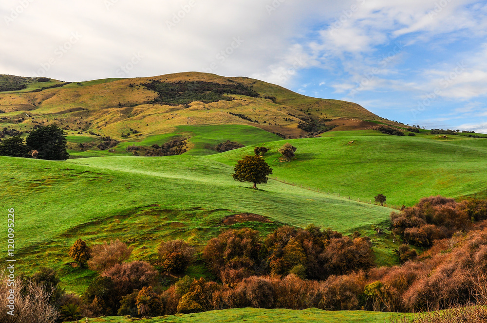 Rural landscape in the Catlins, New Zealand