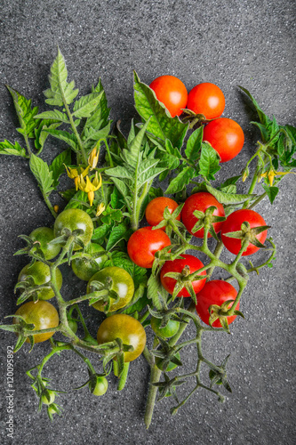 Cherry tomato in a different stage of maturity