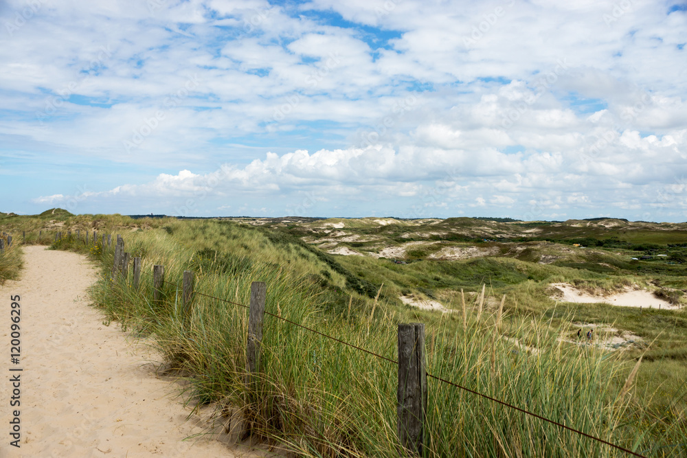 Dünenlandschaft Dünenlandschaft