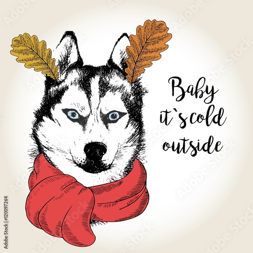 Vector portrait of dog in scarf and leaf ears. Hand drawn dog illustration. Baby it s cold outside.