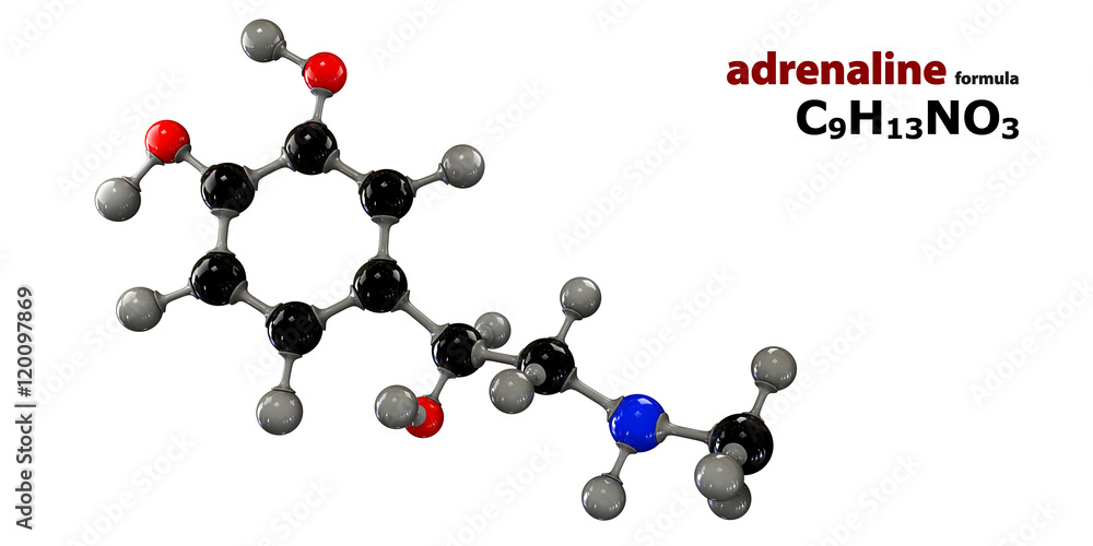 Adrenaline neurotransmitter molecule