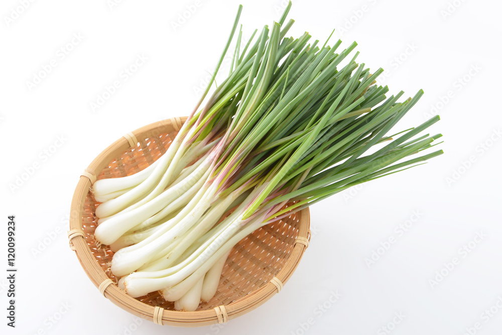 新鮮な野菜 新鮮な野菜