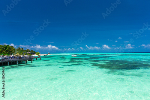 Fototapeta Naklejka Na Ścianę i Meble -   tropical beach in Maldives
