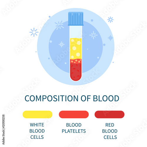 Composition of blood. Blood components in a test tube- white cells, red cells and platelets. Medical and scientific concept. Vector illustration.