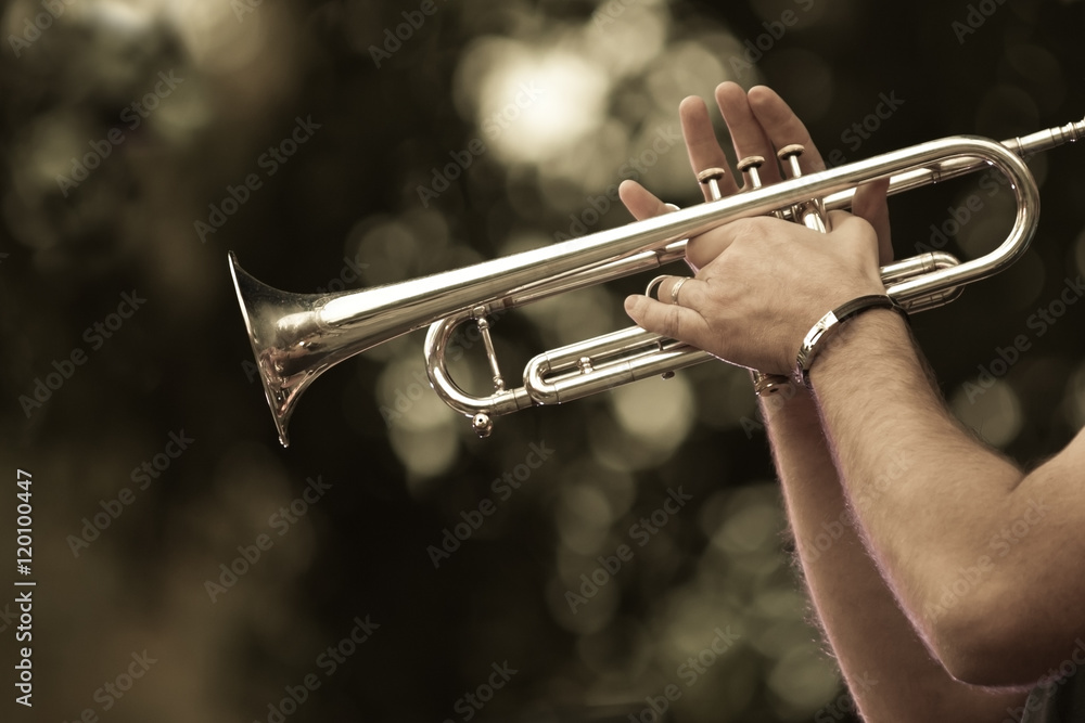 Obraz premium Hands of the musician playing a trumpet