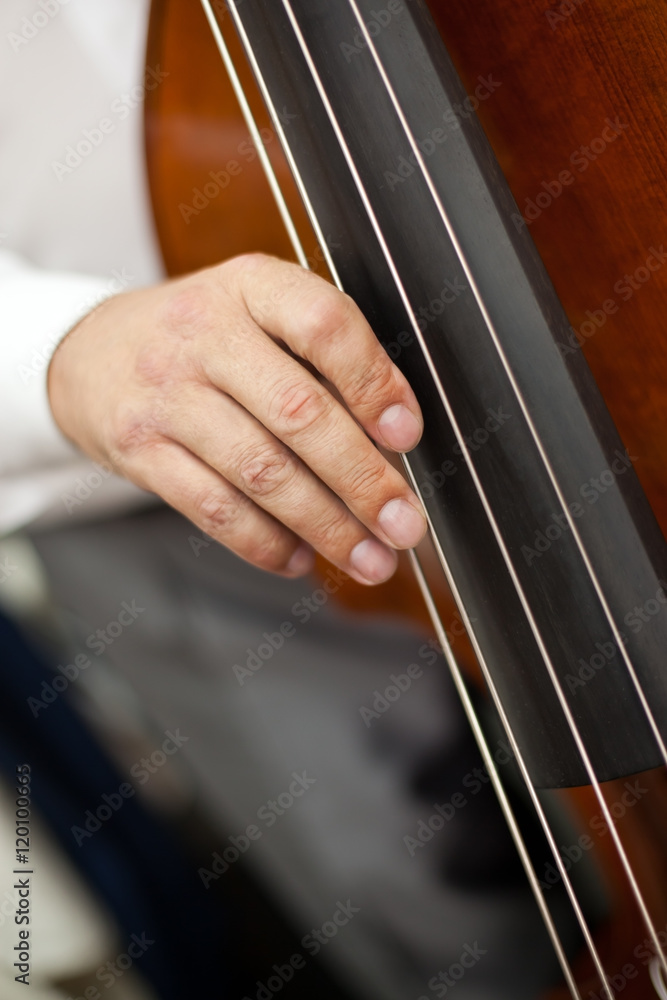 Musician hand playing the contrabass Musician hand playing the contrabass