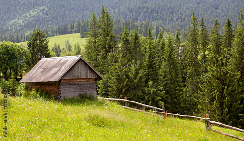 Fototapeta Naklejka Na Ścianę i Meble -  wooden houses on a grass hills