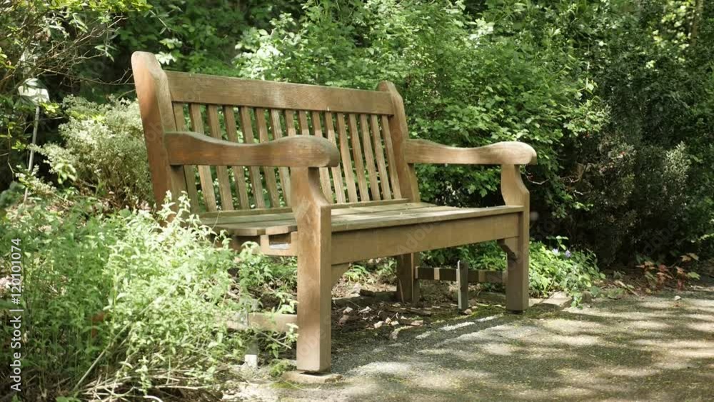 In natural environment wooden bench in the park slow motion 1920X1080 FullHD video - Lonely bench in the forest by the day nature background 1080p HD slow-mo footage In natural environment wooden bench in the park slow motion 1920X1080 FullHD video - Lonely bench in the forest by the day nature background 1080p HD slow-mo footage