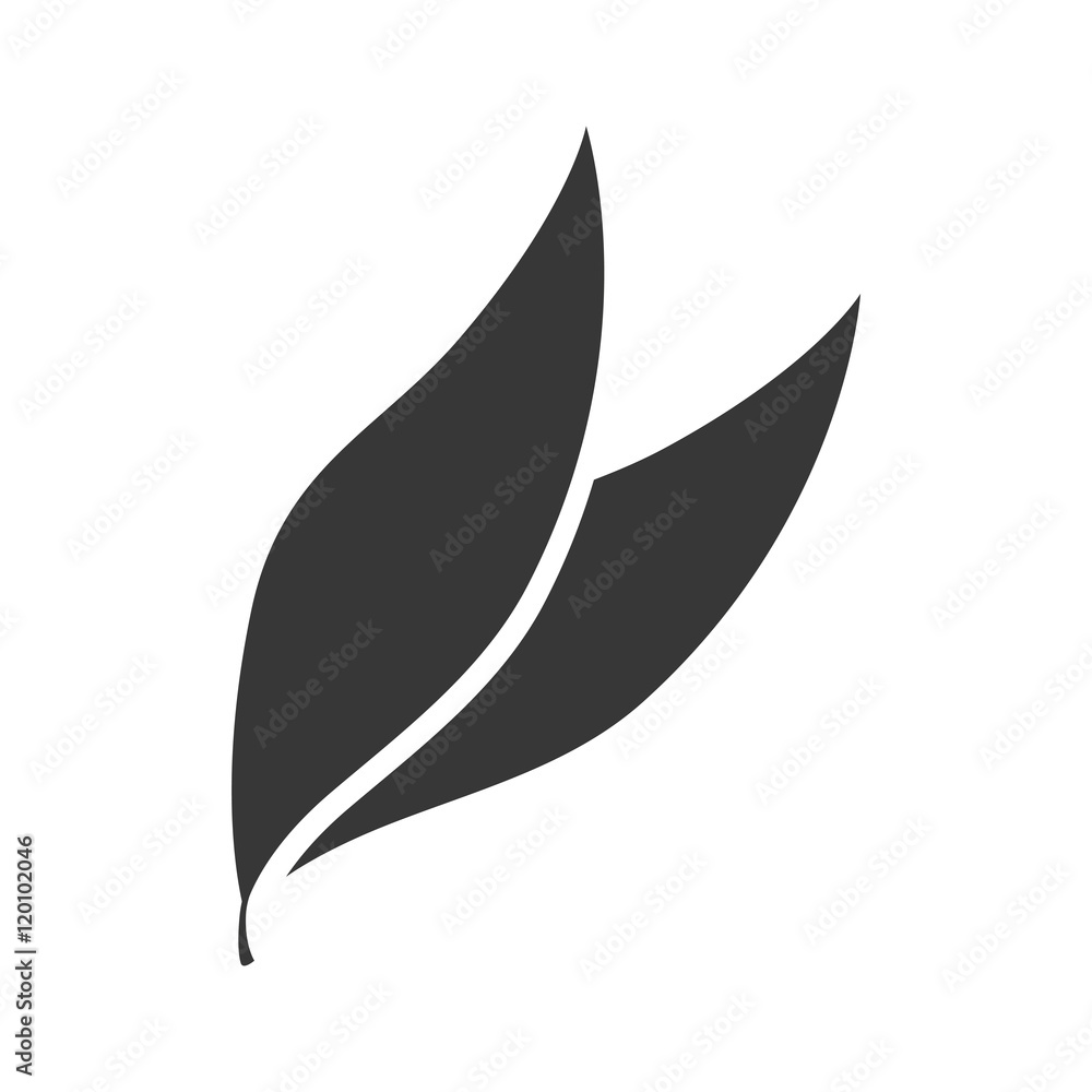 leaves plant natural sheet ecology silhouette vector illustration leaves plant natural sheet ecology silhouette vector illustration