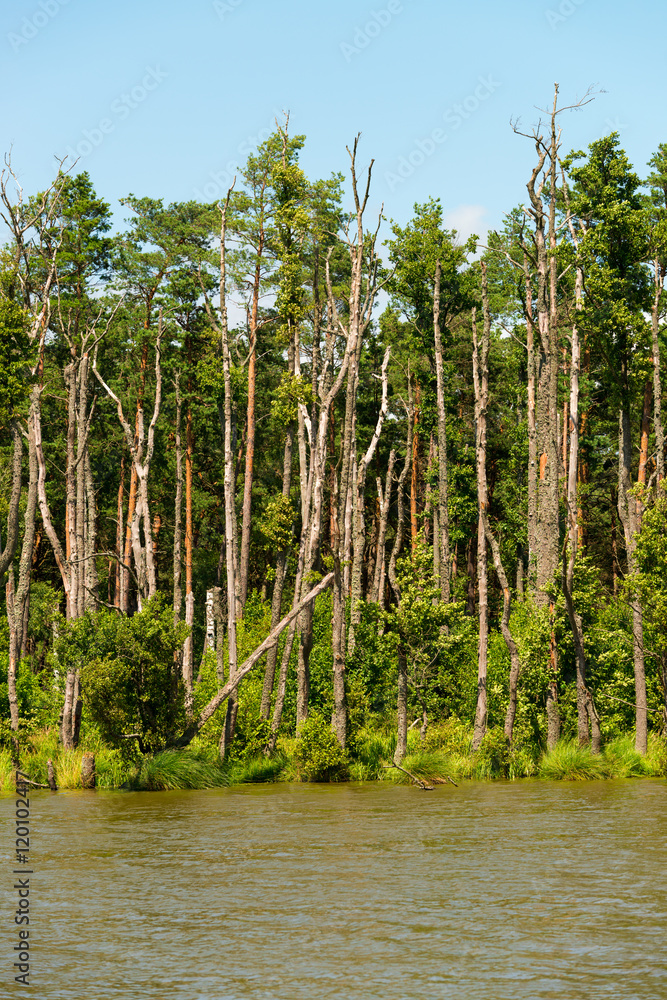 Obraz premium slowinski landscape