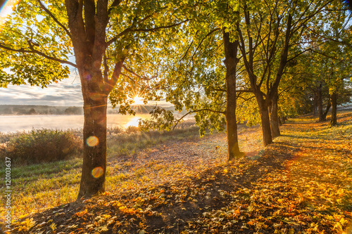 Fototapeta Naklejka Na Ścianę i Meble -  misty morning on Mazury lake
