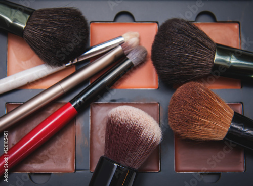 Makeup brushes and rouges