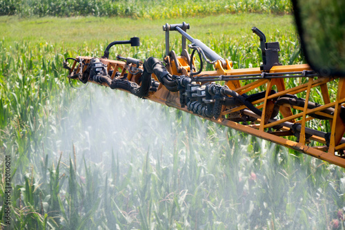 Corn Spraying