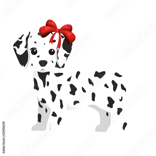 dalmatian breed dog canine pet animal. puppy cartoon. vector illustration