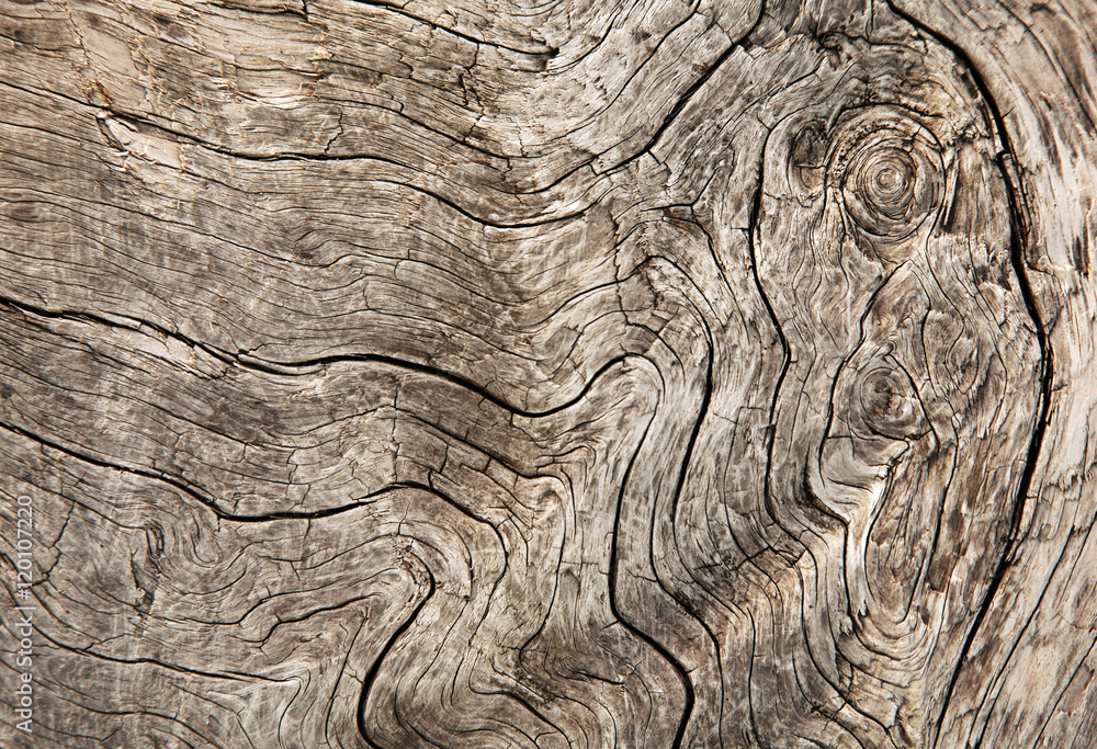 Fototapeta premium Holzmaserung