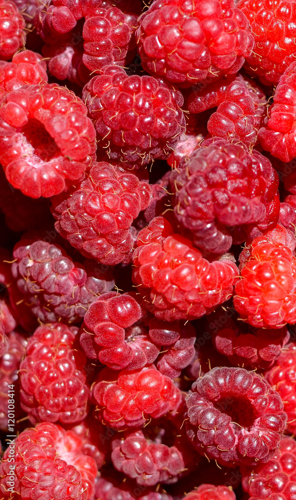 Raspberries Raspberries