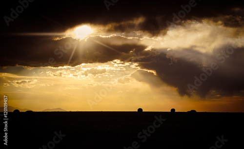 Montana hay field at sunset photo