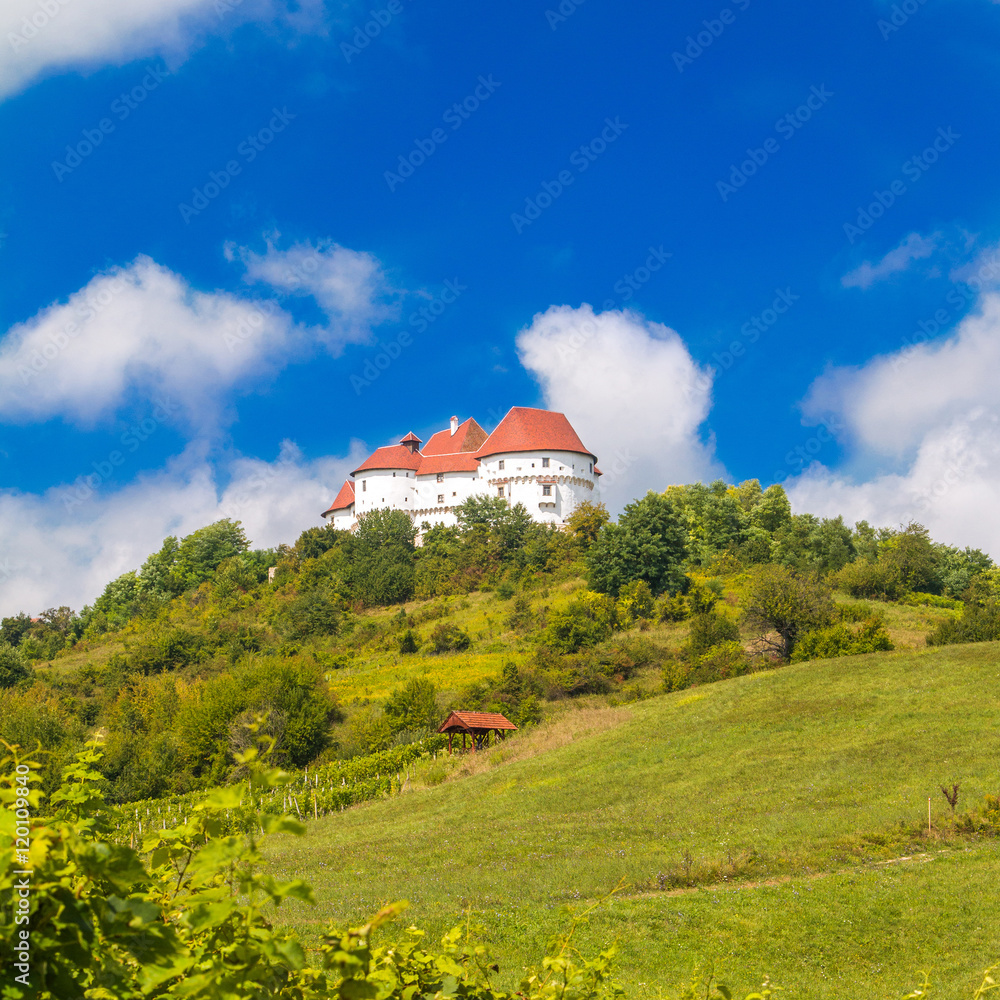      Countryside landscape with vineyard and old castle Veliki Tabor on hill, Zagorje, Croatia 