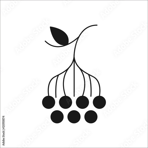 Rowan or red berry sign silhouette icon on background