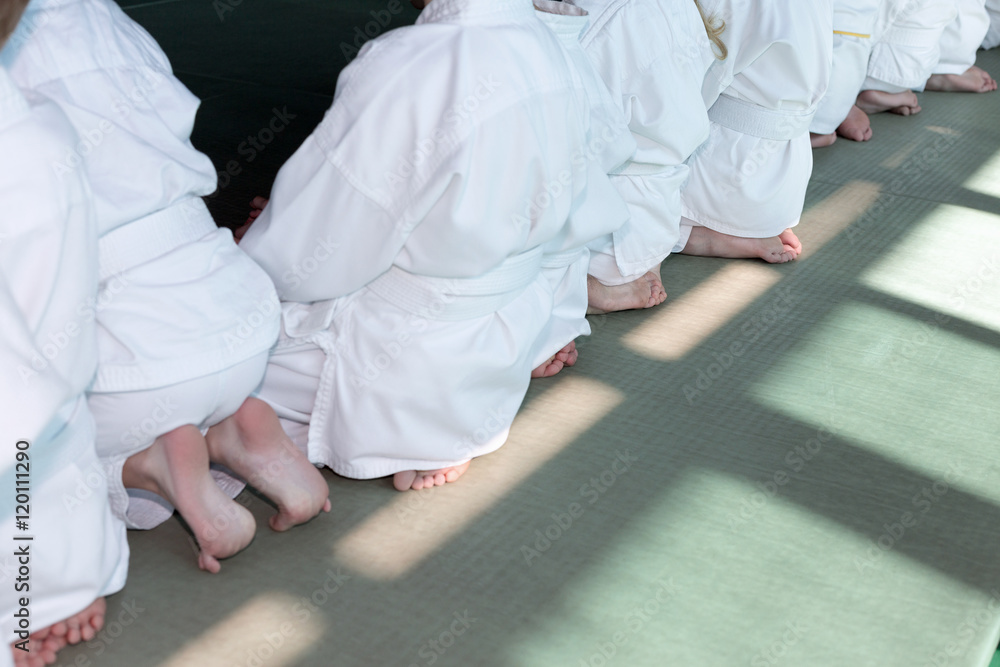 Fototapeta premium Group of children in kimono sitting on tatami on martial arts training seminar. Selective focus