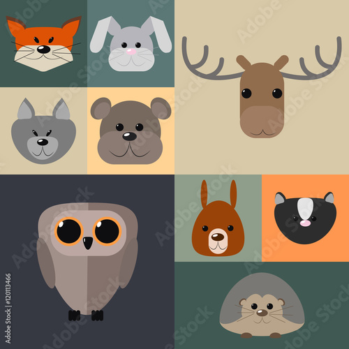 Fototapeta Naklejka Na Ścianę i Meble -  Animals of the forest , a set of different animals of the forest