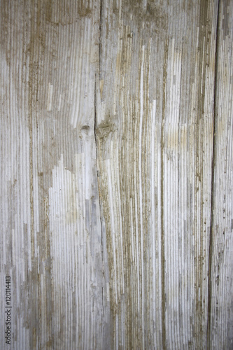 old white wood texture with natural patterns background © merlin74