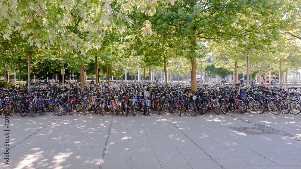 Viele Fahrräder unter Bäumen am Hauptbahnhof Göttingen