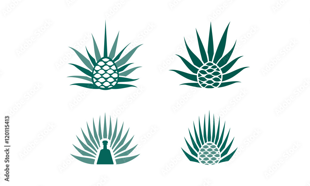 agave plant logo