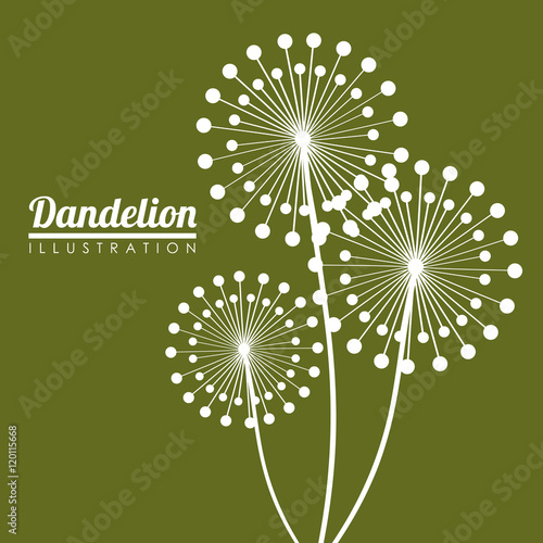 White dandelion icon. Summer seed plant and flower theme. Colorful design. Green background. Vector illustration