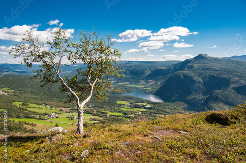 Blick auf Vangsmjøse vom Måneberget photo