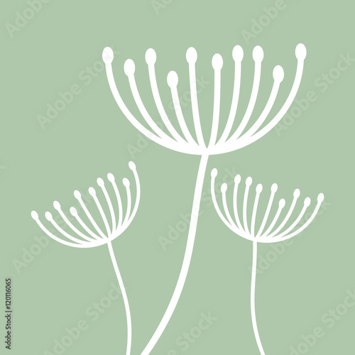 White dandelion icon. Summer seed plant and flower theme. Colorful design. Pastel background. Vector illustration