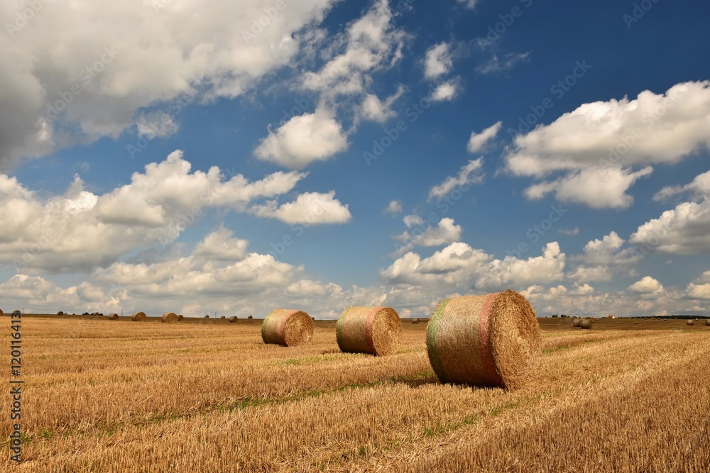 Beautiful countryside landscape. Hay bales in harvested fields. Czech Republic - Europe. Agricultural background - harvest.