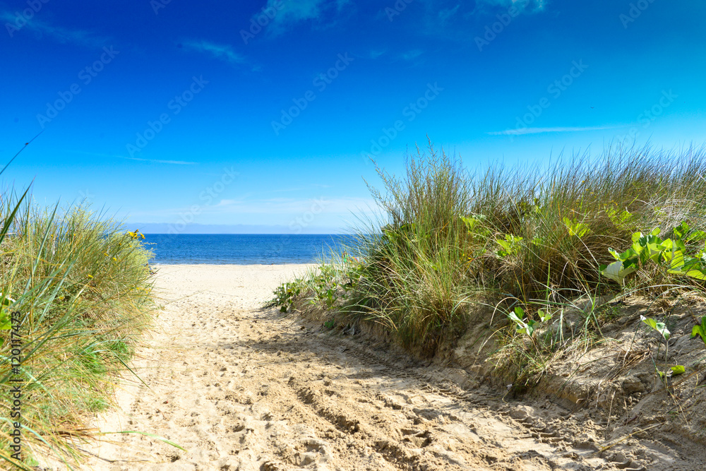 Düne am Ostseestrand Ückeritz - Insel Usedom Düne am Ostseestrand Ückeritz - Insel Usedom