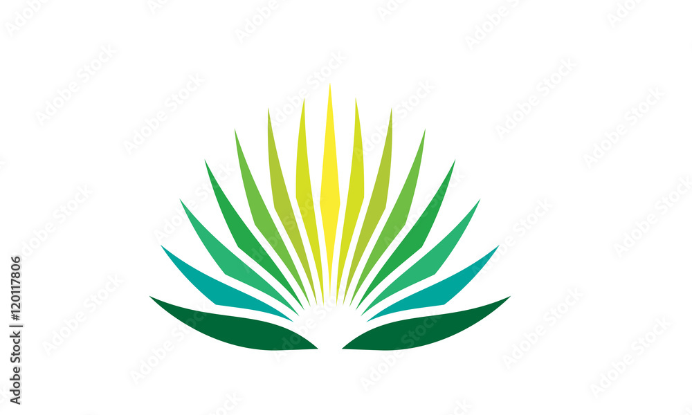agave plant logo agave plant logo