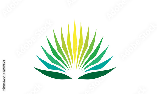 agave plant logo