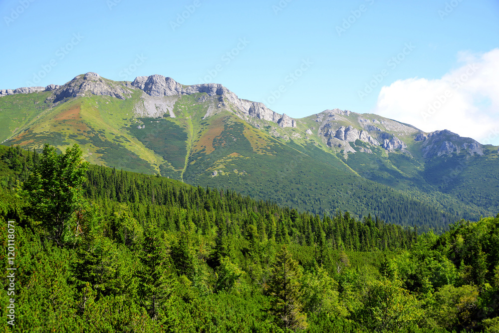 View of the Belianske Tatry Mountains, Slovakia