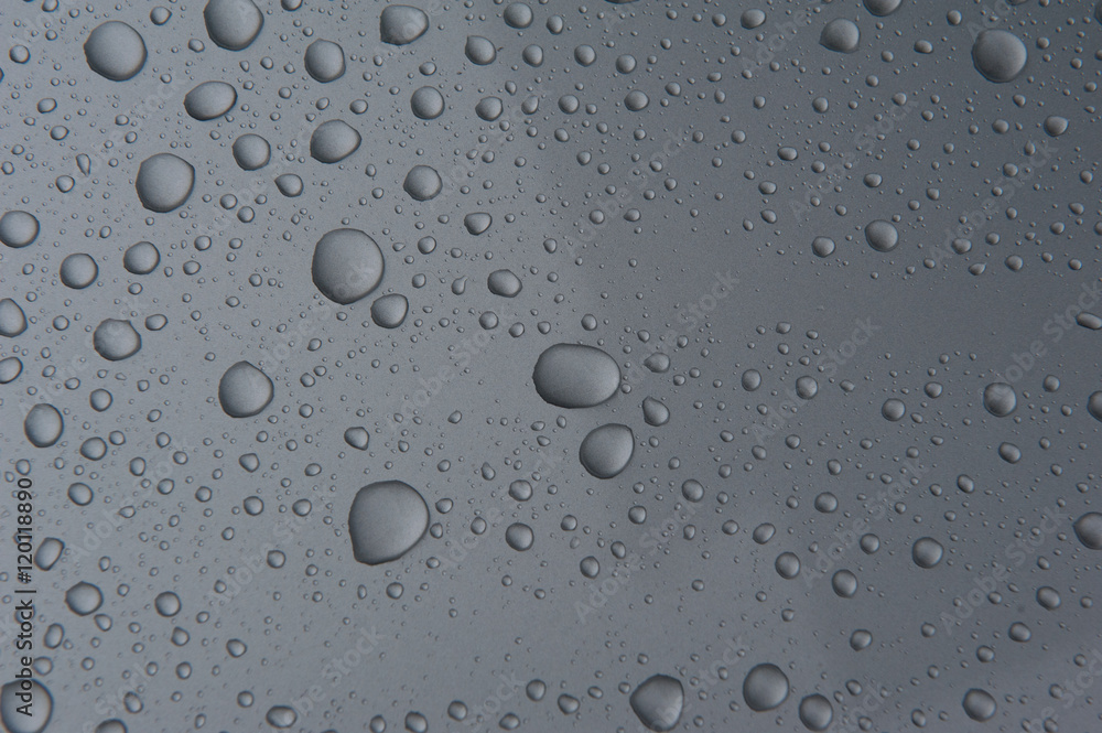 drops of water-repellent surface in black & white drops of water-repellent surface in black & white
