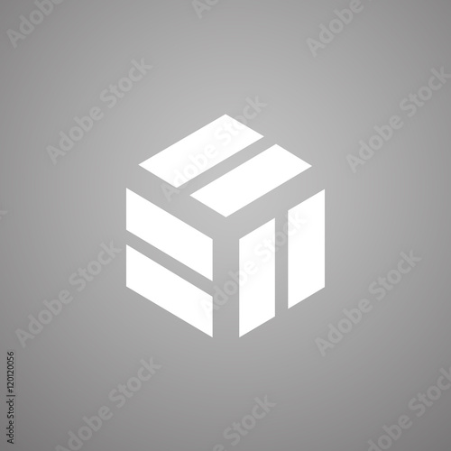 geometry minimal logo concept, white vector icon template