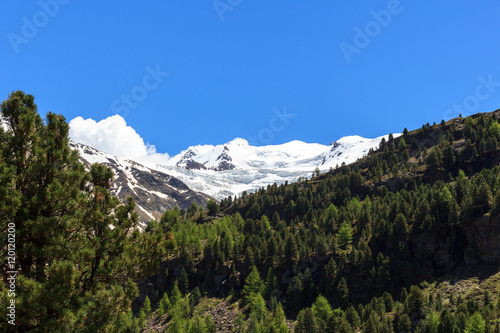 Forni glacier mountain panorama in Ortler Alps, Stelvio National Park, Italy