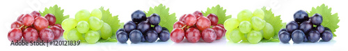 Trauben Weintrauben frische Früchte Obst in einer Reihe
