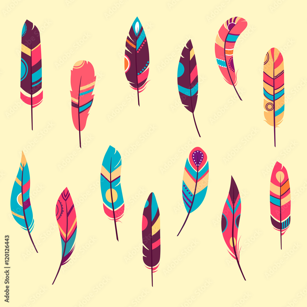 Feathers. Vector Set of Ethnic feathers, Tribal. bright background, illustration , dark and light feathers, boho design