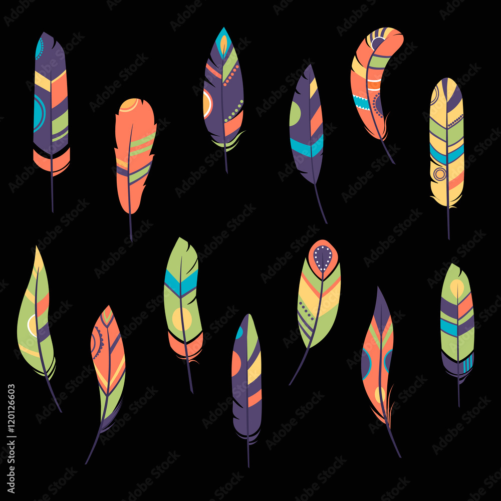 Feathers. Vector Set of Ethnic feathers, Tribal. bright background, illustration , dark and light feathers, boho design Feathers. Vector Set of Ethnic feathers, Tribal. bright background, illustration , dark and light feathers, boho design