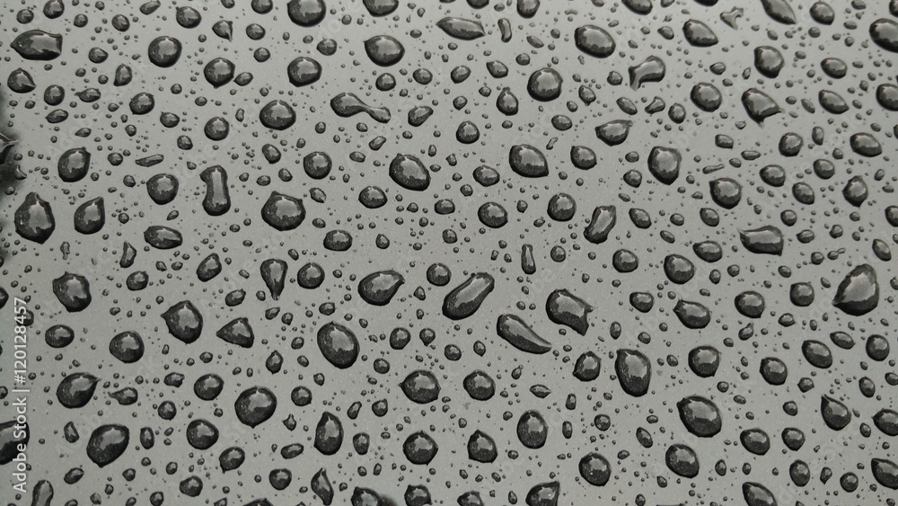 drops of water-repellent surface in black & white drops of water-repellent surface in black & white