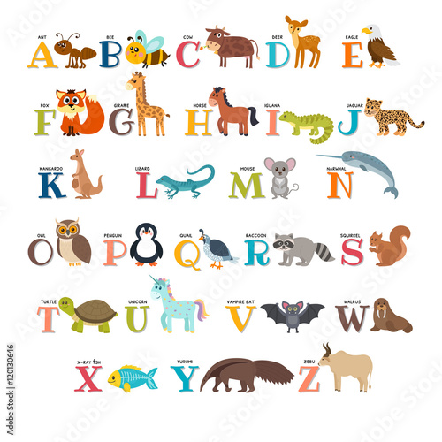 Fototapeta Naklejka Na Ścianę i Meble -  Cute zoo alphabet with animals in cartoon style