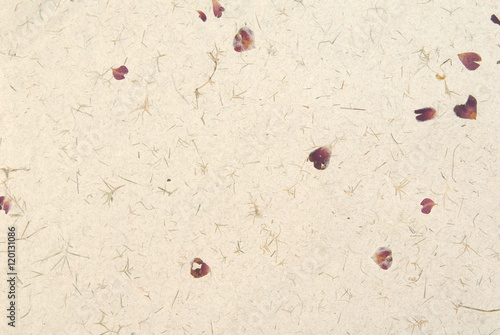 Hand laid speckled paper with rose petals.