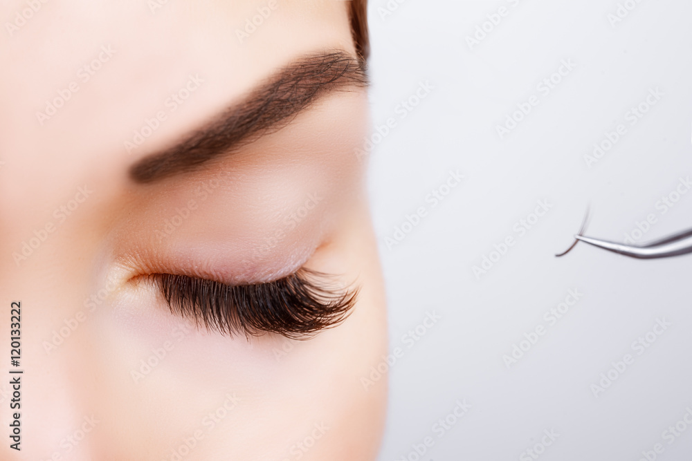 Fototapeta premium Woman Eye with Long Eyelashes. Eyelash Extension. Lashes, close up, selected focus.