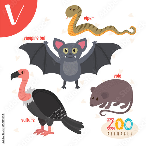 Letter V. Cute animals. Funny cartoon animals in vector. ABC boo