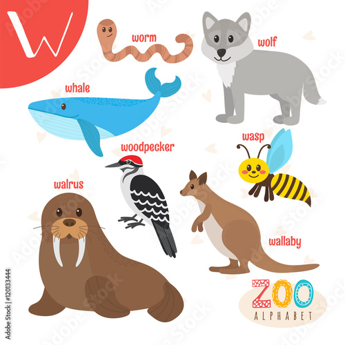 Letter W. Cute animals. Funny cartoon animals in vector. ABC boo